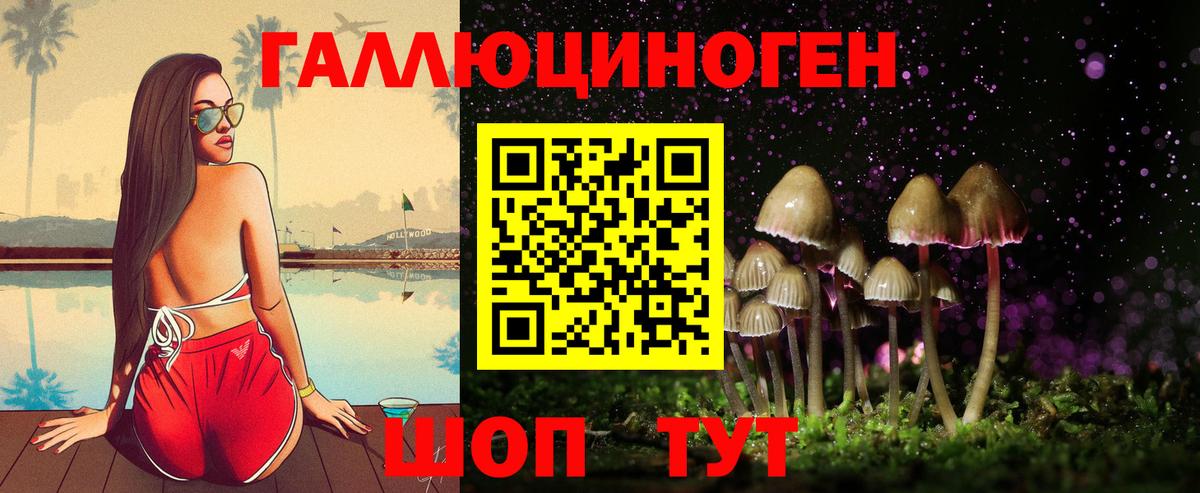 Мирный  Псилоцибиновые грибы прущие грибы  Вход с VPN  Псилоцибиновые грибы Psilocybine cubensis 